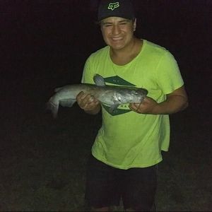 Meet your Posher, Kevin